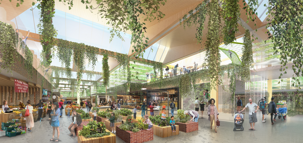 Mall Marketing: Eco-Friendly Solutions and Initiatives